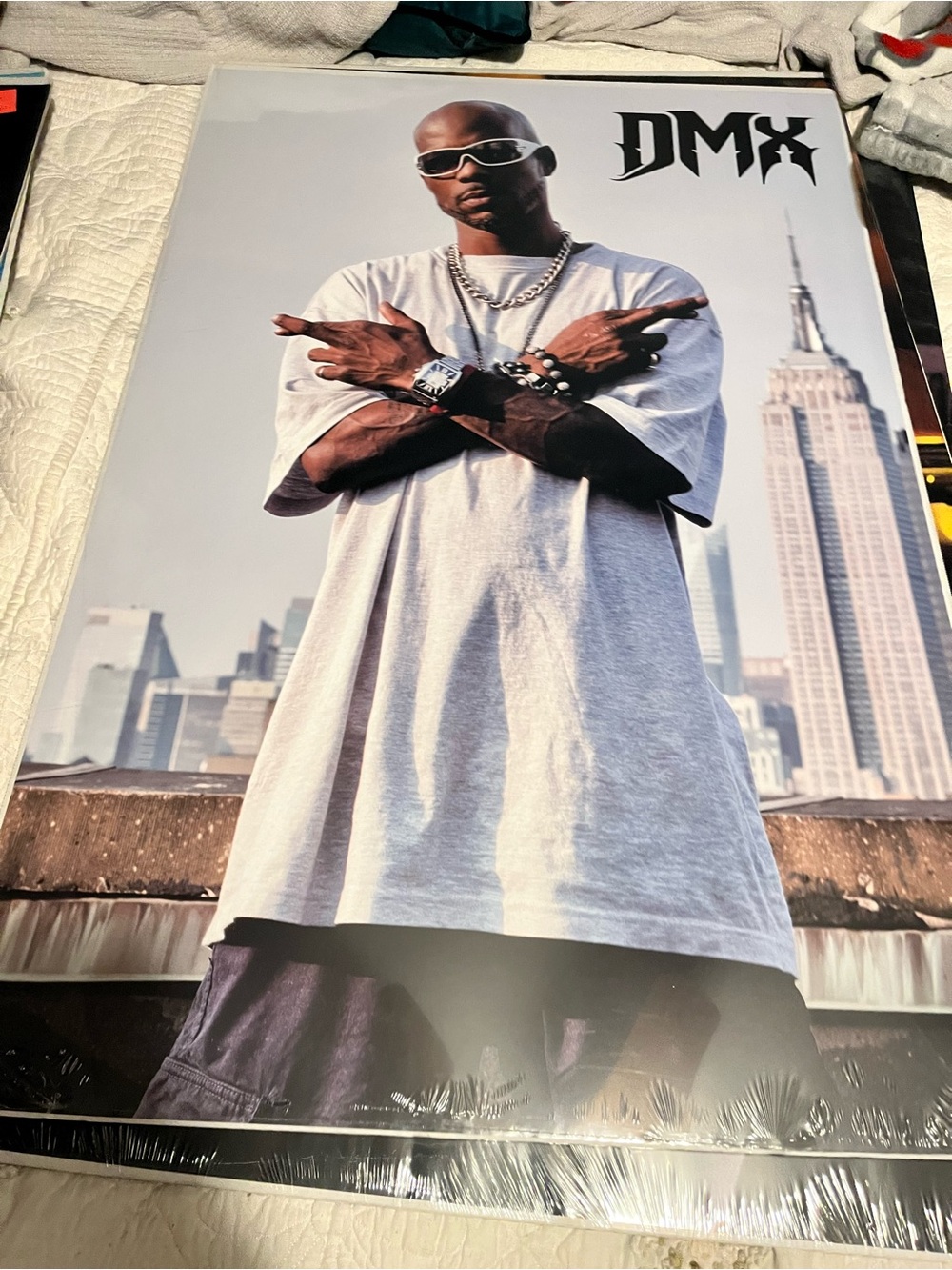 DMX WALL POSTER